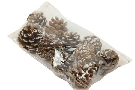 Pinecone Silvester 200gr Brown White