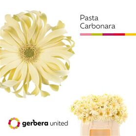 Ge Kv Pasta Carbonara