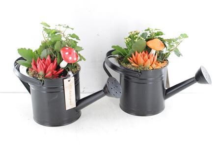 Arr2 Mb Zink Gieter Zwart Indoor -