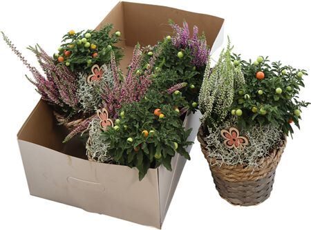 Autumn Specials Arrangement Mand 18