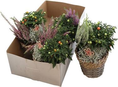 Autumn Specials Arrangement Mand 18