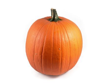 Sier Cuc P Maxima Halloween X2