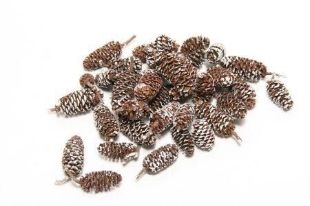 Birch Pine 300gr