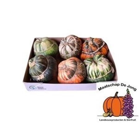 Sier Cuc P Turks Turban Mix X40