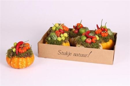 Opm Cucurbita Keramiek