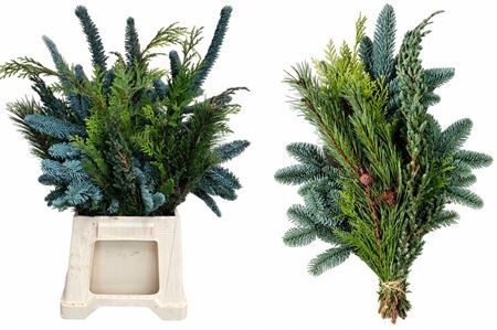 Kerstgroen Mix