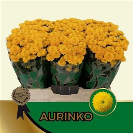 Chr S Aaa Aurinko