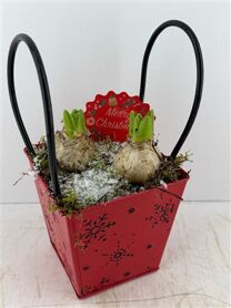 Arr (1) Hyac Wit Zinken Tas Rood