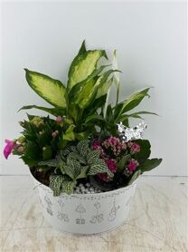 Arr (10) Zink wit rond