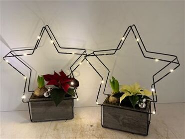 Arr (19) verlichte ster