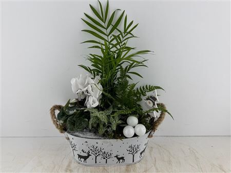 Arr (6) Zink Ovaal Met Hert