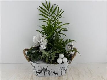 Arr (6) Zink Ovaal Met Hert