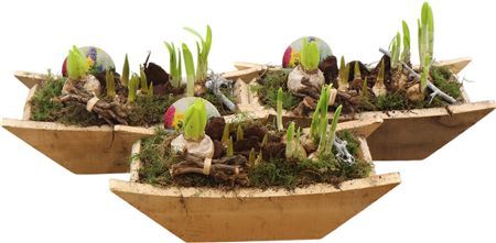 Arr Bol/knolgewas Xl