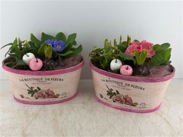 Arr (2) La Boutique Ovaal