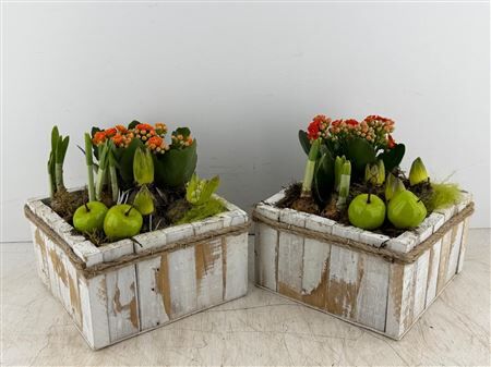 Arr (4) Hout Vierk. White Wash