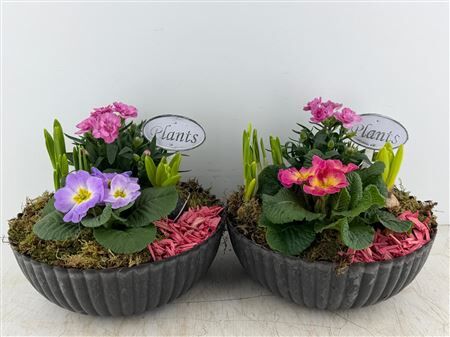 Arr (2) Bowl grijs met ribbel