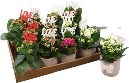 Arr Kal Keramiek Valentine