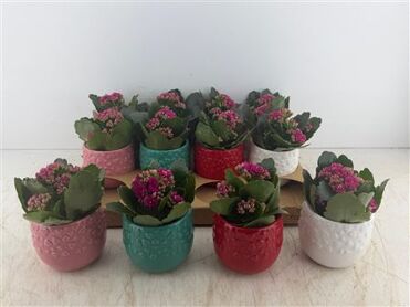 Arr (4) Keram. Mix Met Hart