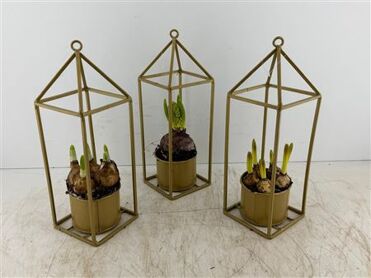 Arr (5) Gouden Metalen Huis