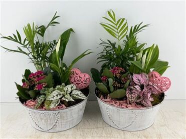 Arr (11) Zink Wit Met Hart