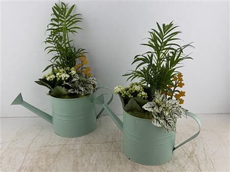 Arr (7) Gieter Zink Groen