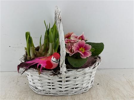 Arr (7) Hengselmand Wit