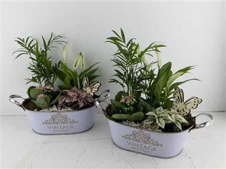 Arr (6) Zink Vintage Boutique