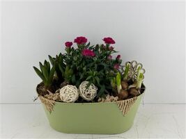 Arr (4) Zink Ovaal groen