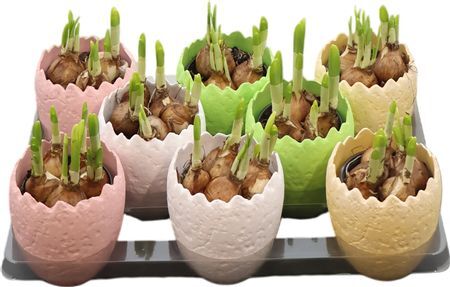 Arr N Tete A Tete Ei Keramiek Mix