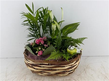 Arr (3) Riet ovaal 2 kleuren