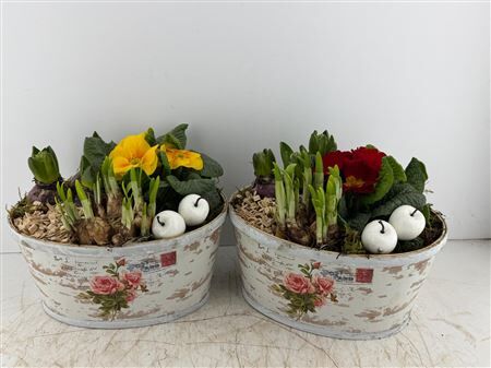 Arr (7) playwood postcard ovaal