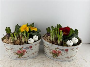 Arr (7) playwood postcard ovaal