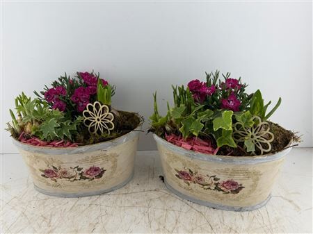 Arr (8) Playwood Roses ovaal