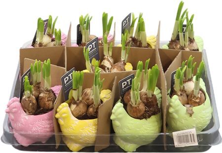 Arr N Tete A Tete Keramiek