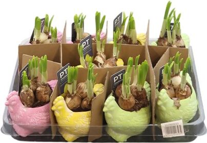 Arr N Tete A Tete Keramiek