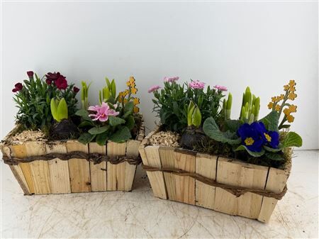 Arr (4) Hout rechth.