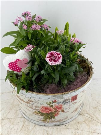 Arr (6) Postcard rond