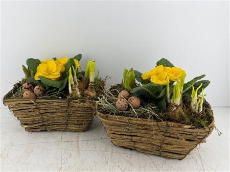 Arr (10) Mand rechth.