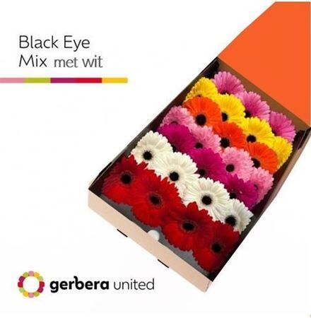 Ge Gr Mixed On Row Doos
