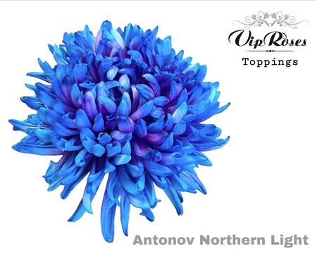 Chr G Antonov Northern Light
