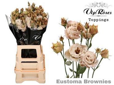 Eust G Alissa Brownies