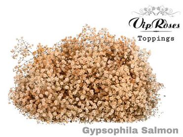 Gyps Pa Salmon