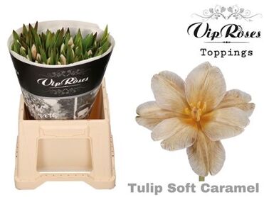 Tu En A Soft Caramel