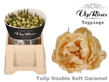 Tu Du Double Soft Caramel