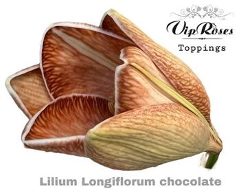 Li Lf Chocolate