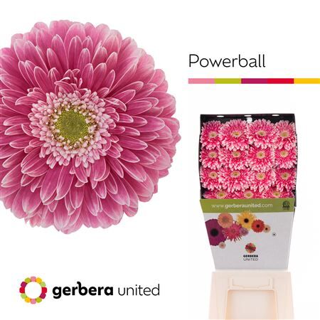 Ge Gb Power Ball Diamond