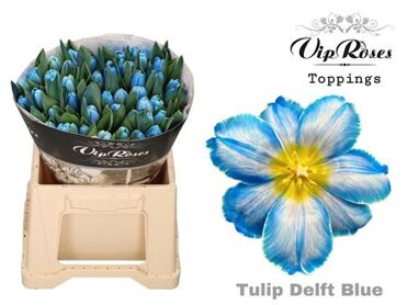 Tu En A Delft Blue