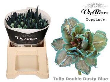 Tu Du Double Dusty Blue