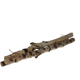 Birch branch 60cm x3
