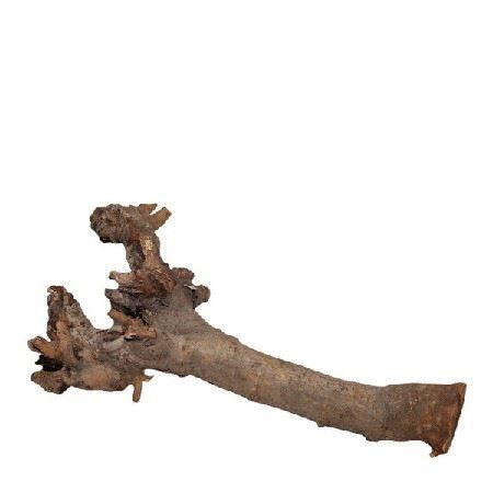 Kuwa root 40cm